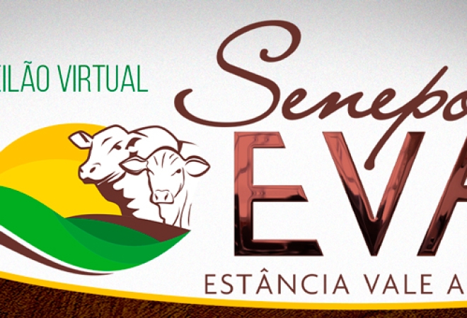 Leilão virtual EVA Senepol, dia 15 de fevereiro